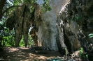 Пещера Diamond Cave