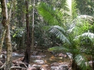 Остров Koh Tarutao