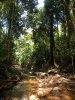 Остров Koh Tarutao