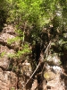Остров Koh Tarutao
