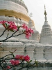 Чианг Май. Храм Ват Буппарам \ Wat Buppharam