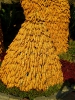 Паттайя. Тропический парк Нонг НУЧ (Nong Nooch)