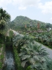 Тропический сад «Нонг Нуч» (Nong Nooch Tropical Garden)