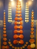 Пхукет. Музей морских раковин (Seashell Museum)