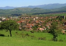 Город Берковица